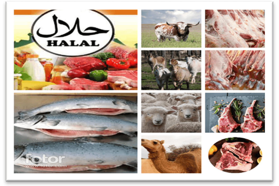 Meat & Seafoods 